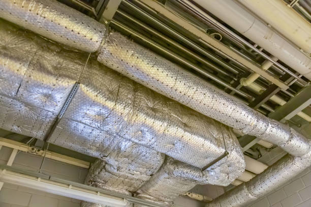 Best Professional Duct Cleaning Services  in Lockport, IL